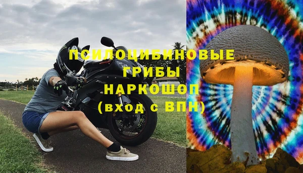 MESCALINE Алагир
