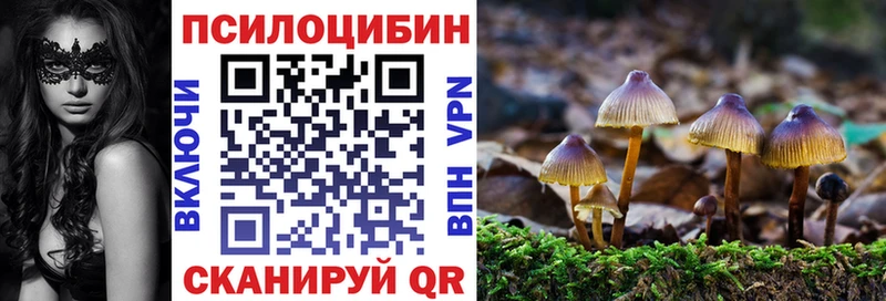 Псилоцибиновые грибы GOLDEN TEACHER  Тюмень 