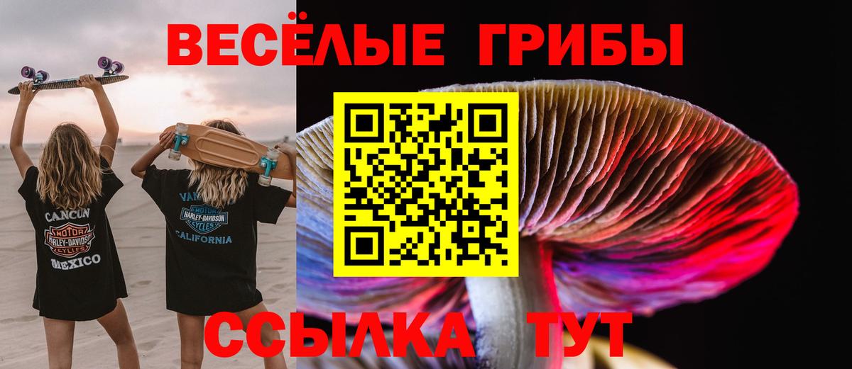 Псилоцибиновые грибы Psilocybe  Псилоцибиновые грибы Magic Shrooms  Вход с VPN  Тюмень 